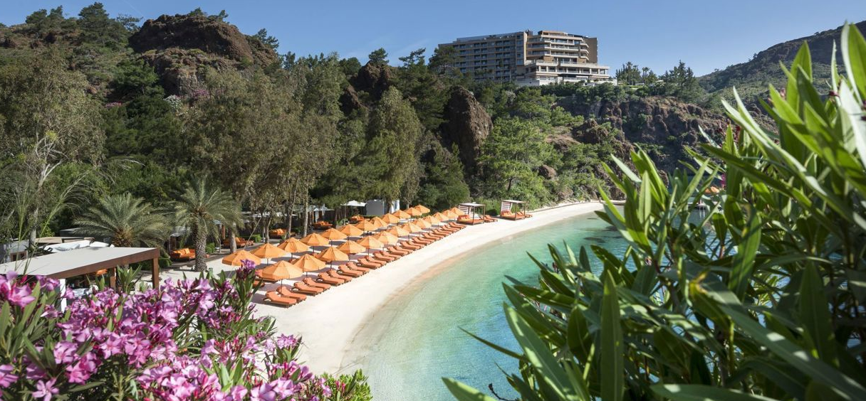 image2.png image2.png