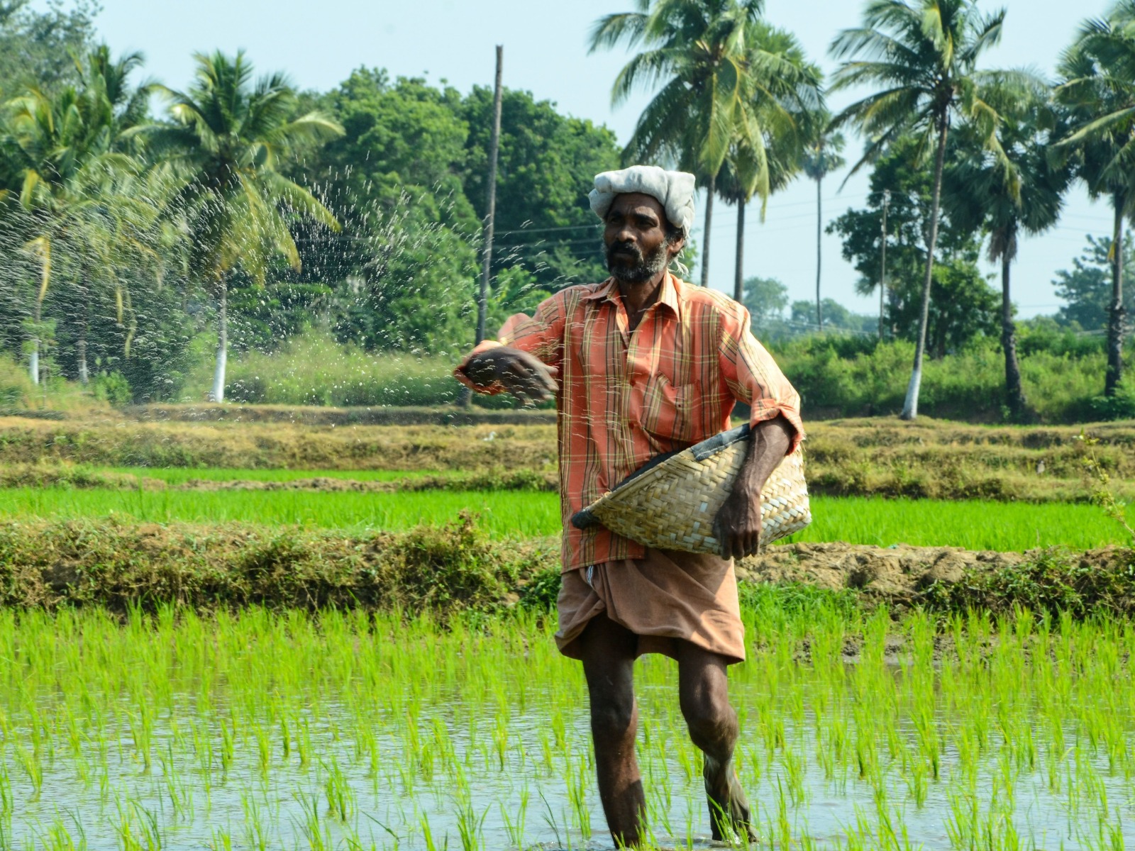 WhatsApp Image 2023-02-20 at 12.20.22.jpeg WhatsApp Image 2023-02-20 at 12.20.22.jpeg