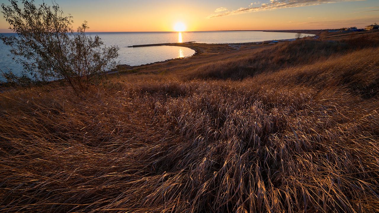 WhatsApp Image 2024-05-24 at 15.58.06.jpeg WhatsApp Image 2024-05-24 at 15.58.06.jpeg