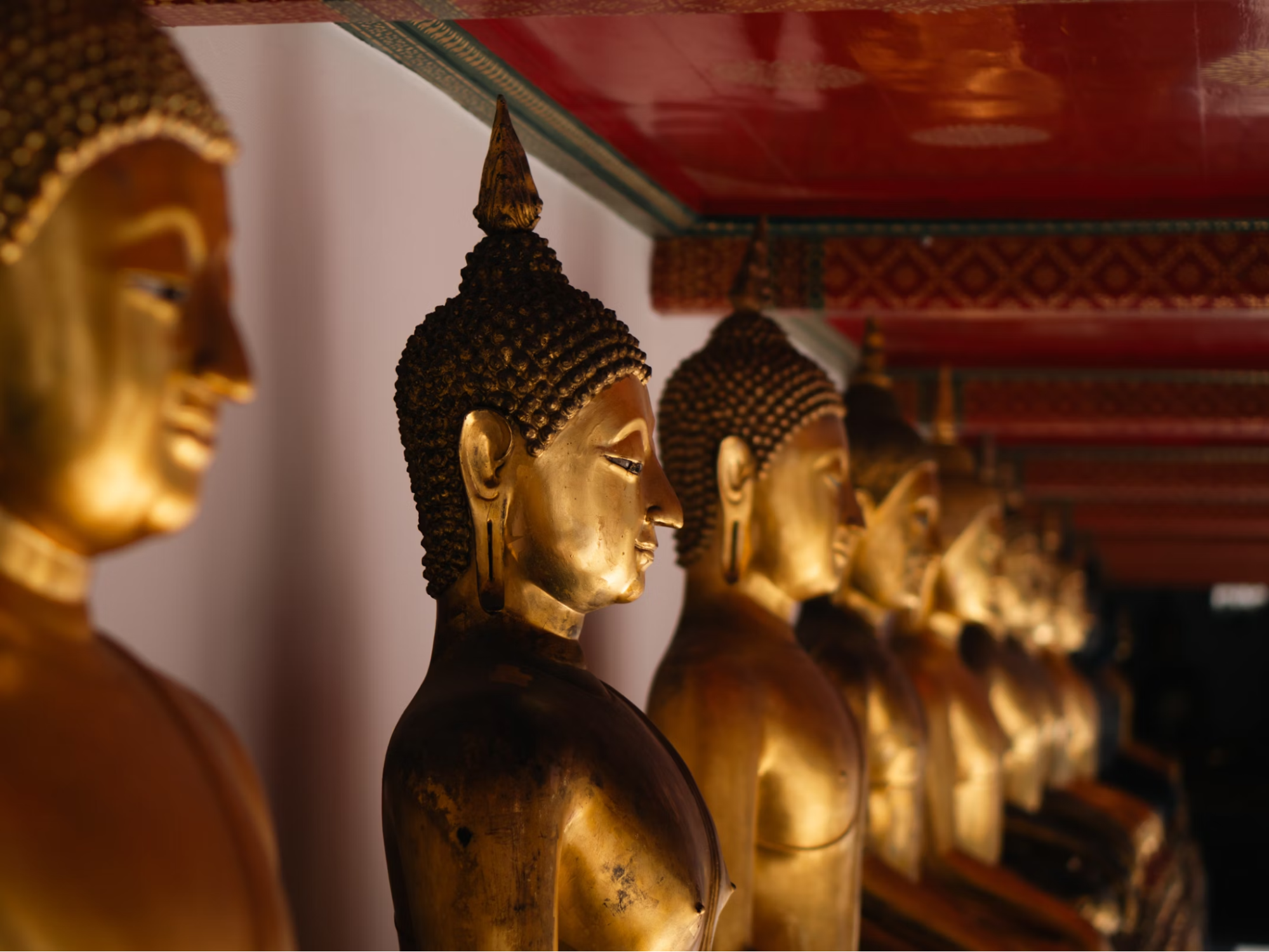 image2.png image2.png