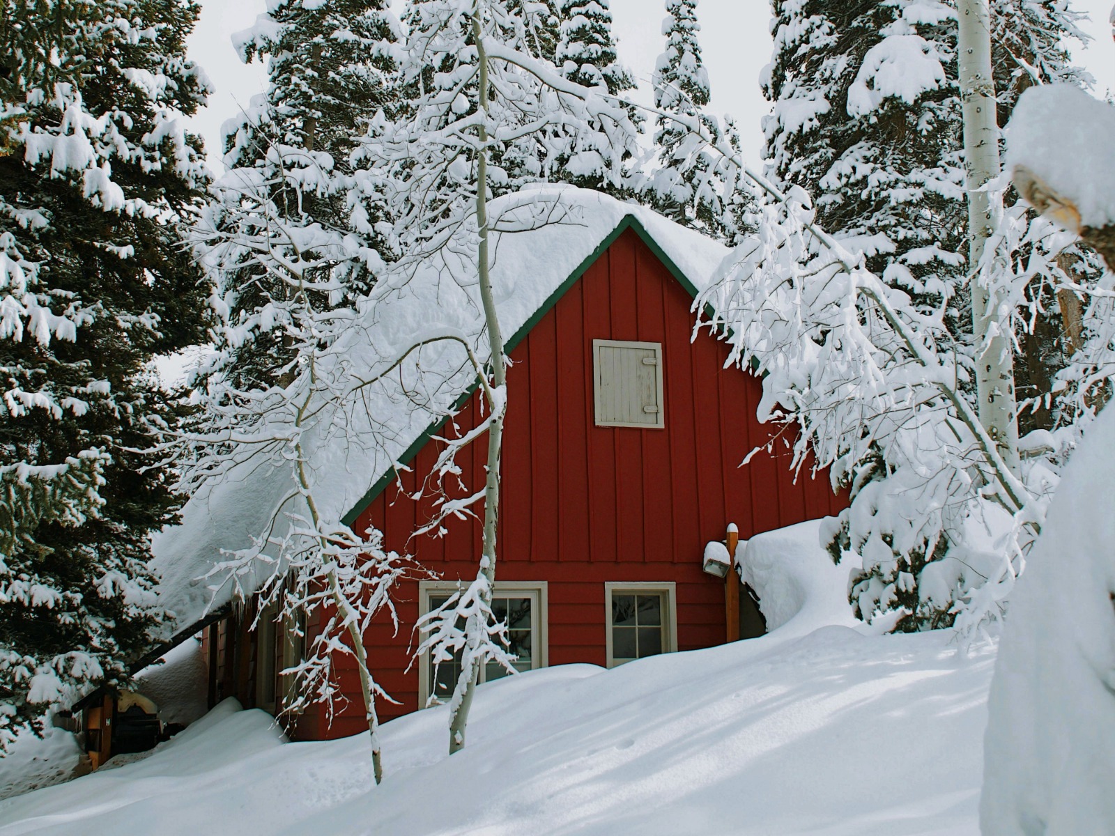 WhatsApp Image 2024-02-07 at 10.14.34.jpeg WhatsApp Image 2024-02-07 at 10.14.34.jpeg