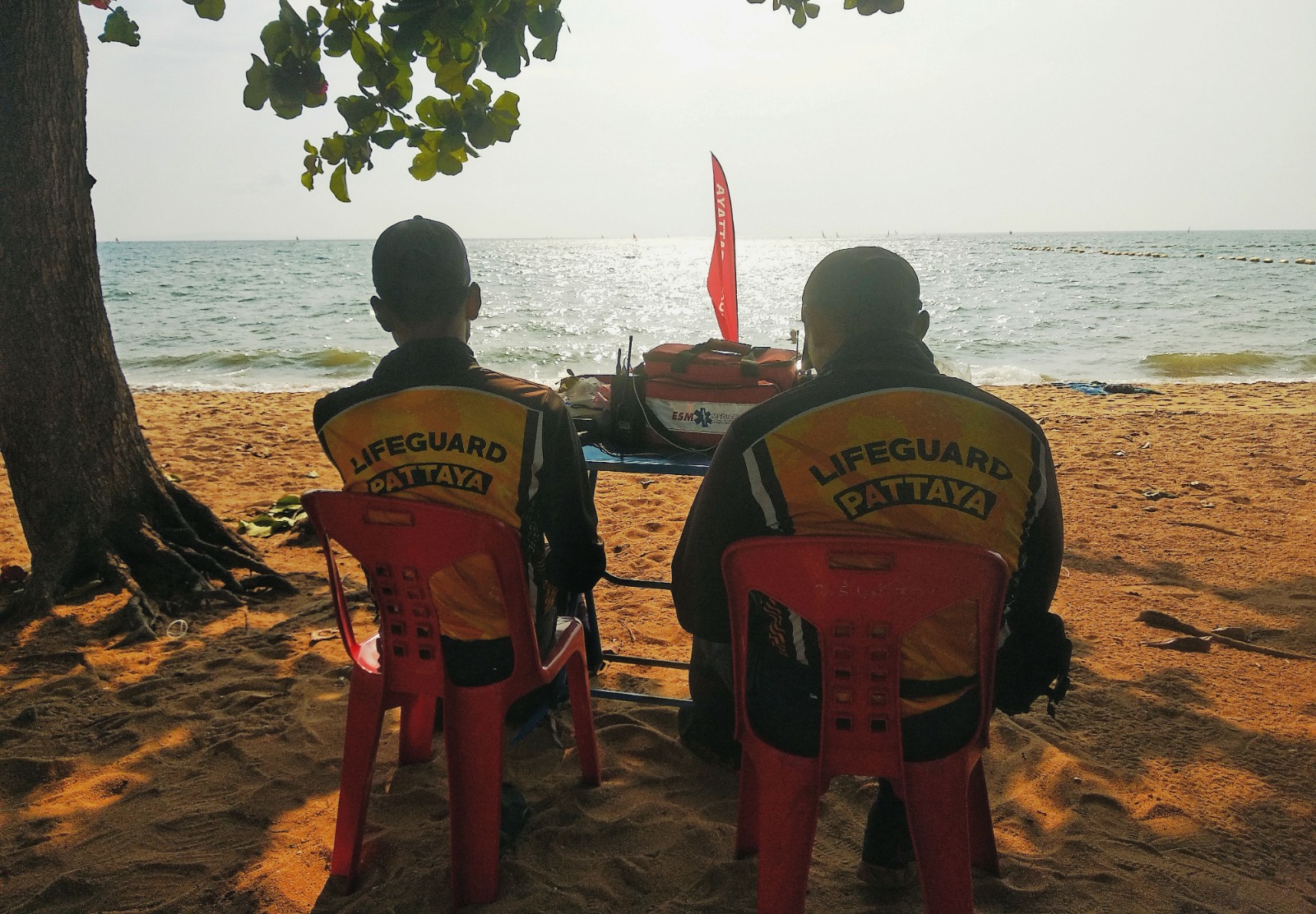 WhatsApp Image 2024-01-15 at 14.09.12.jpeg WhatsApp Image 2024-01-15 at 14.09.12.jpeg