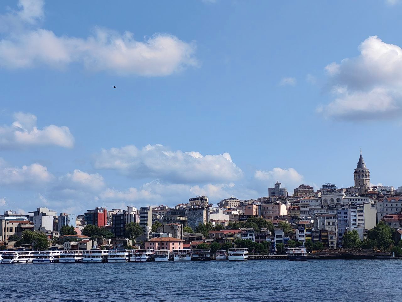 WhatsApp Image 2024-08-01 at 19.17.35 (2).jpeg