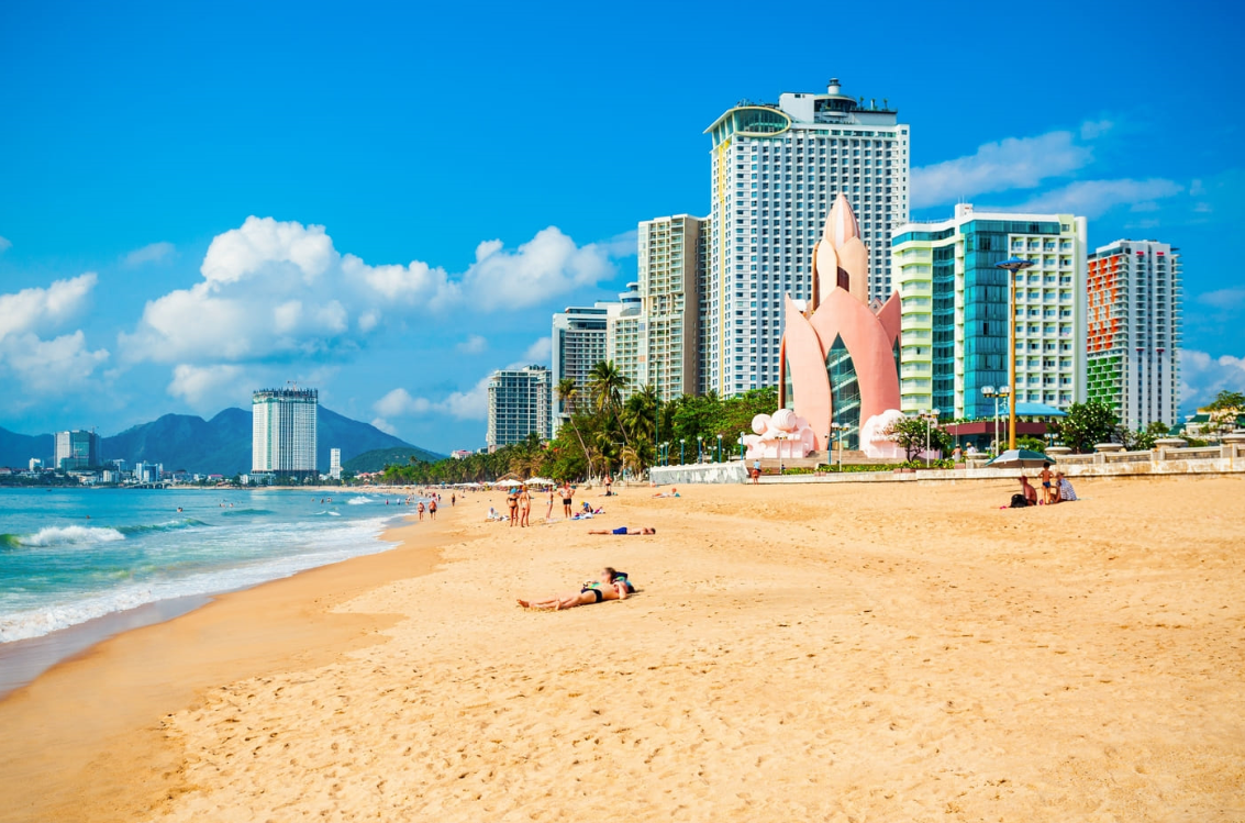 image4.png image4.png