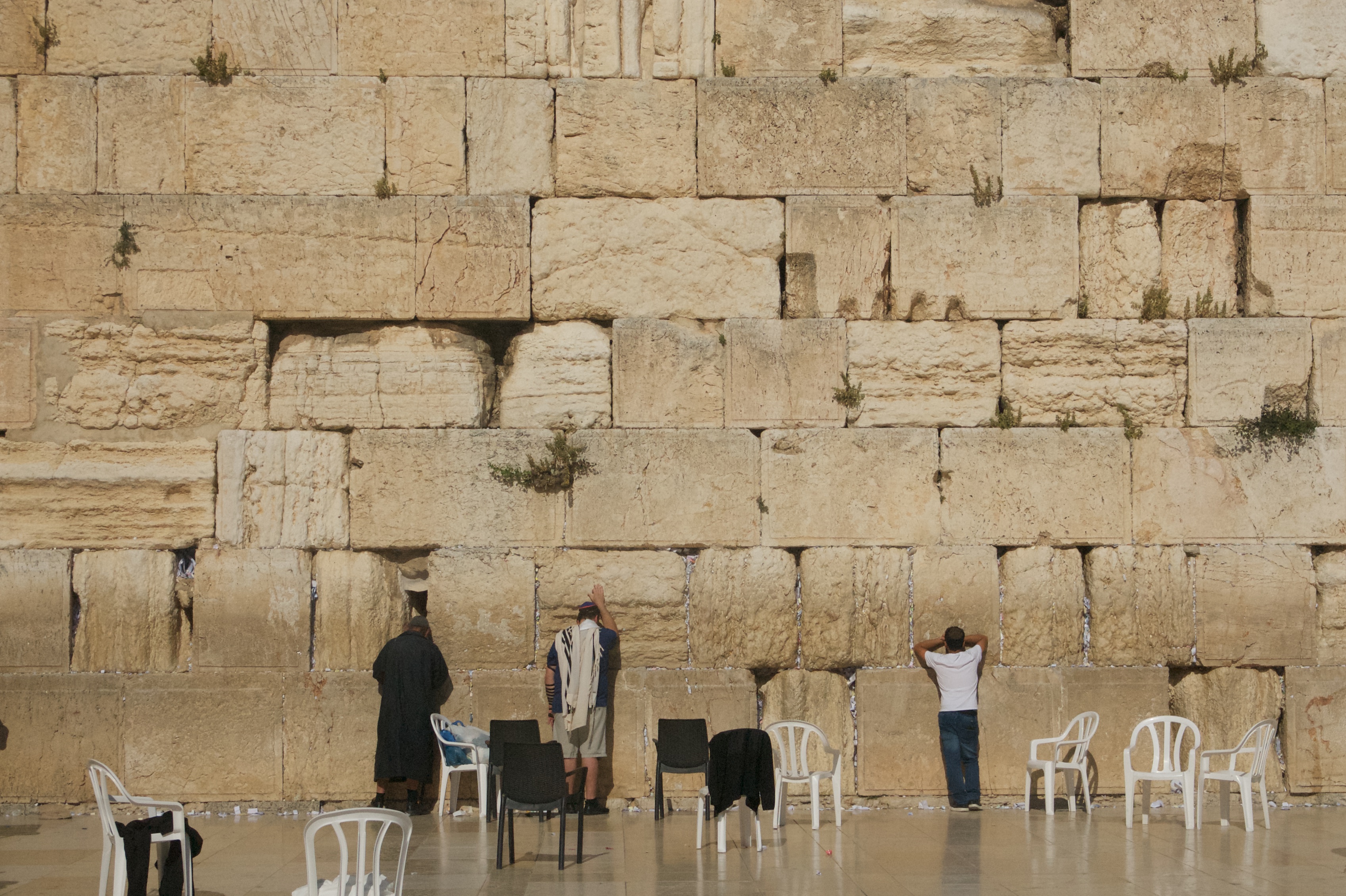 DSC_1347.jpg DSC_1347.jpg