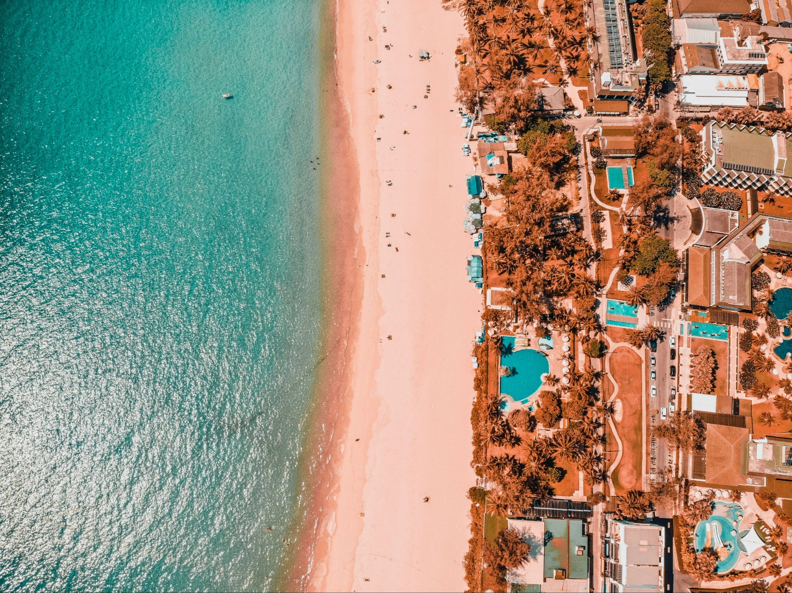 WhatsApp Image 2023-11-20 at 12.09.05.jpeg WhatsApp Image 2023-11-20 at 12.09.05.jpeg