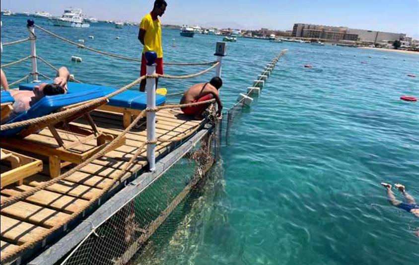 WhatsApp Image 2023-07-05 at 11.18.25.jpeg WhatsApp Image 2023-07-05 at 11.18.25.jpeg