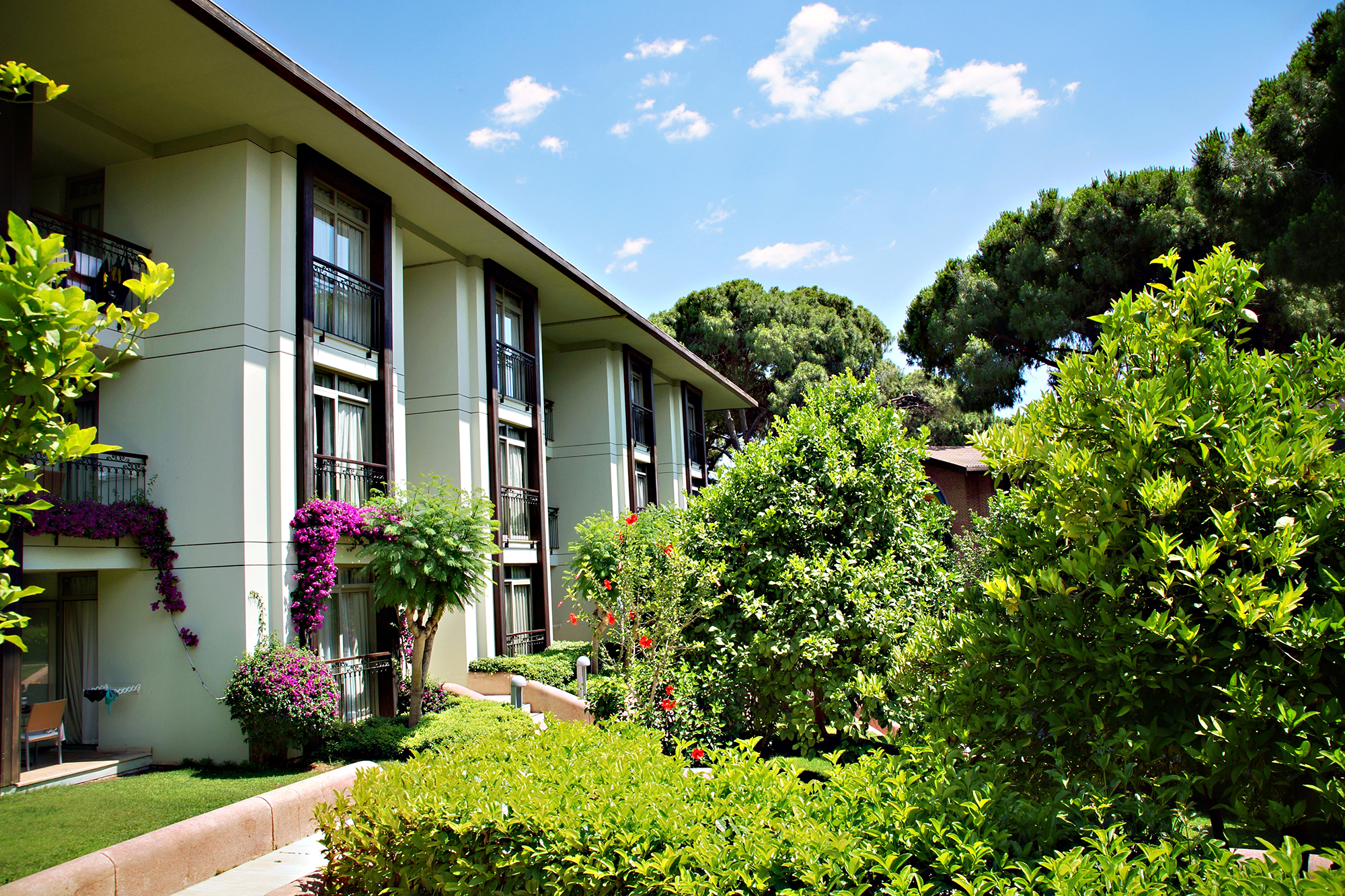 Family-Suite-2.jpg Family-Suite-2.jpg