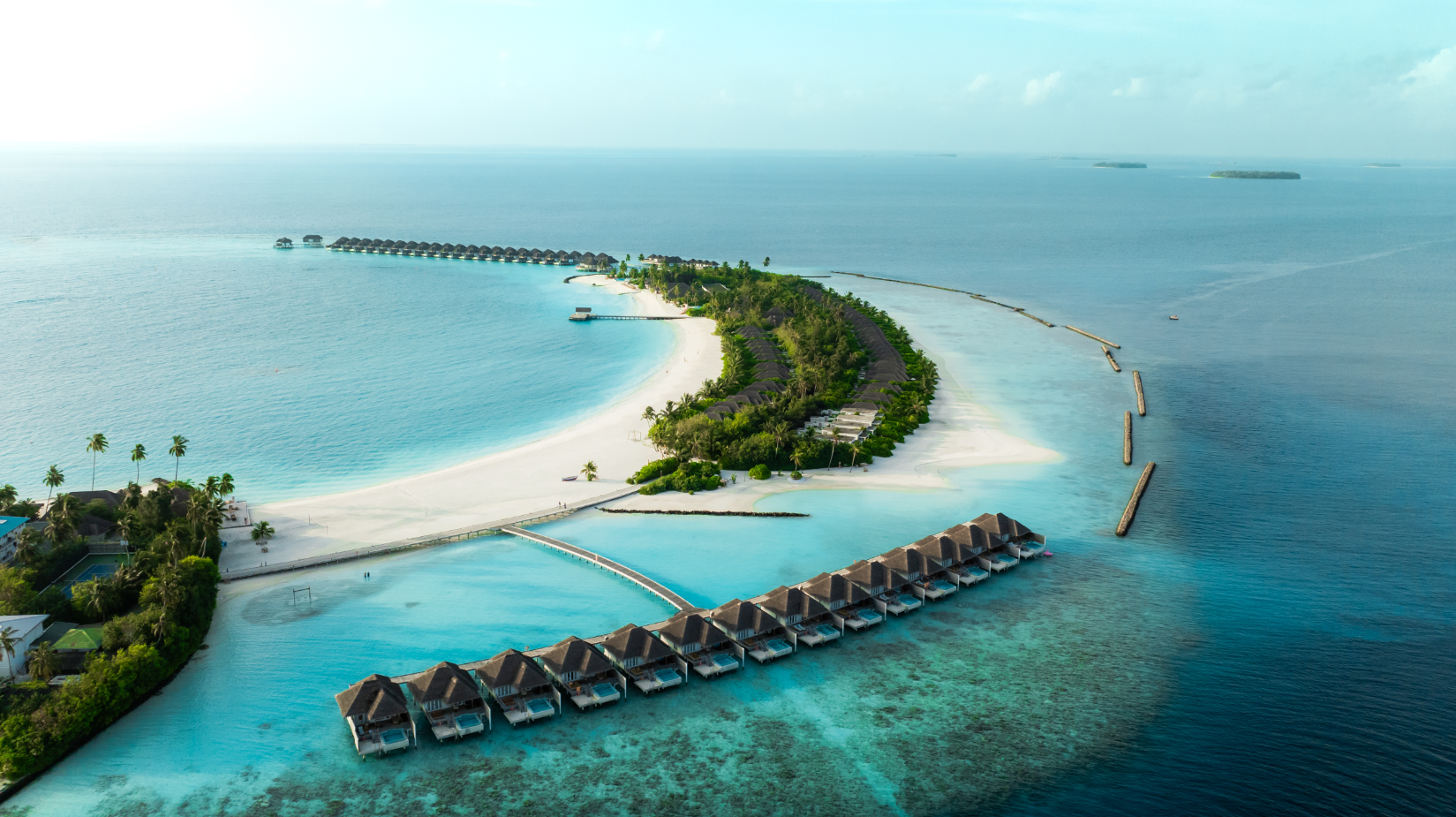 image4.png image4.png