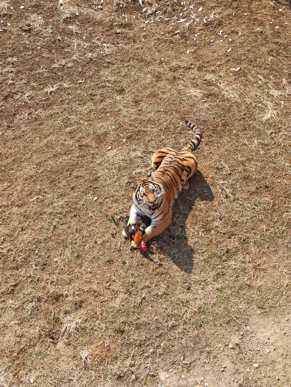 image23.jpg image23.jpg