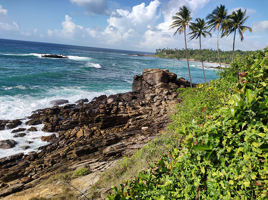 IMG_20220921_081146.jpg IMG_20220921_081146.jpg