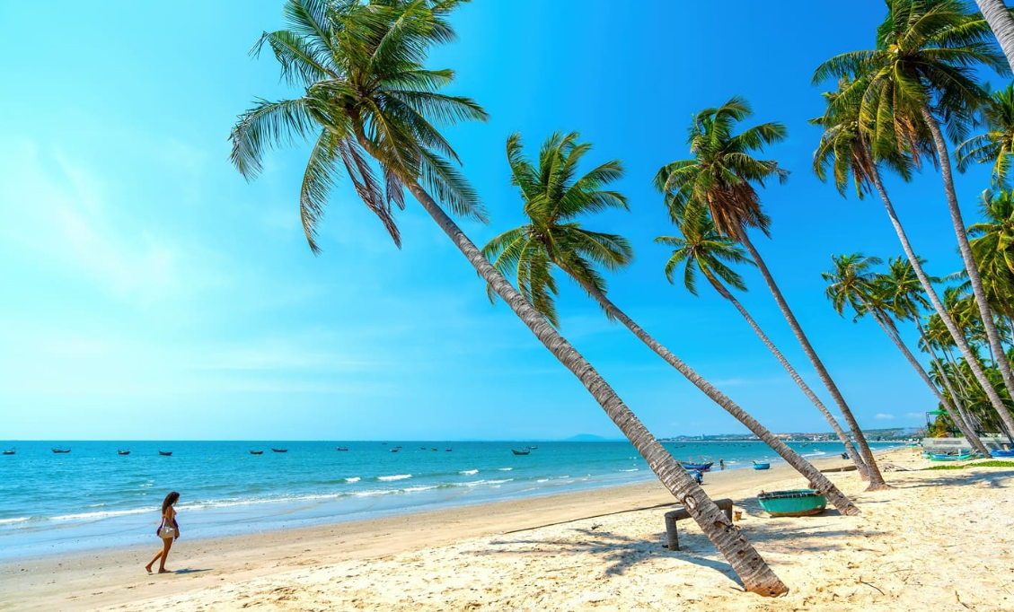 image1.png image1.png