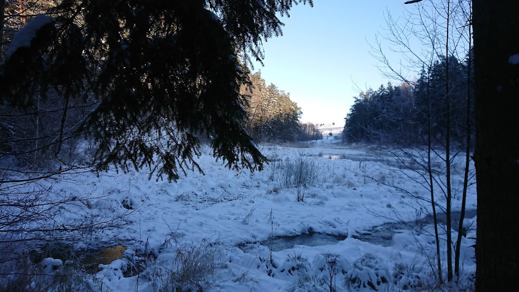 WhatsApp Image 2024-01-09 at 18.25.34.jpeg WhatsApp Image 2024-01-09 at 18.25.34.jpeg