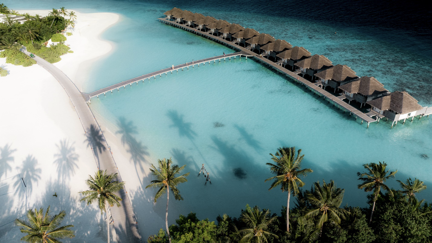 image6.png image6.png