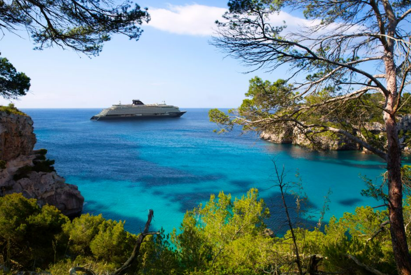 image1.png image1.png