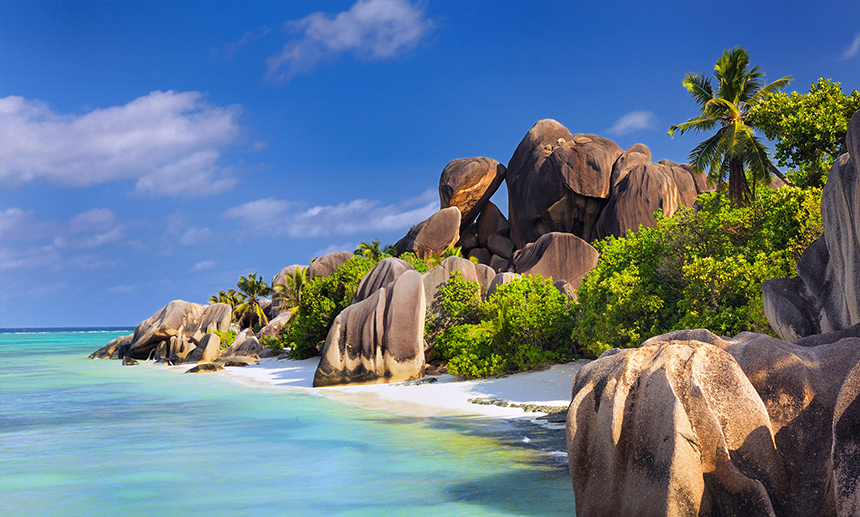 small_TR-0114.jpg small_TR-0114.jpg