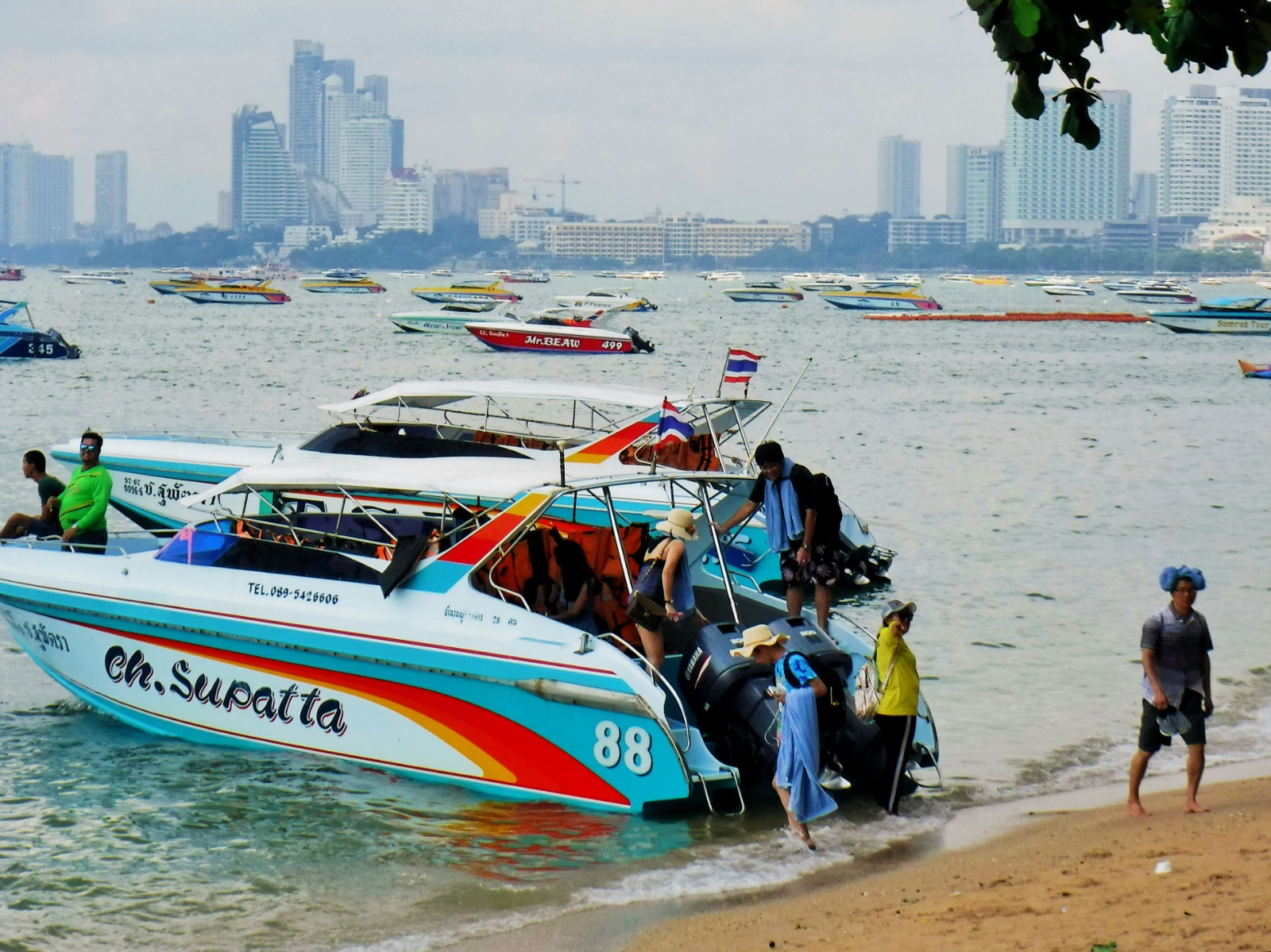 WhatsApp Image 2024-01-15 at 14.09.57.jpeg WhatsApp Image 2024-01-15 at 14.09.57.jpeg