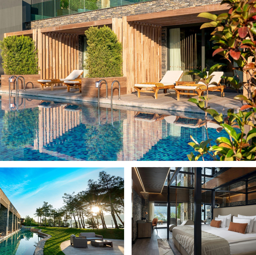 indigo.jpg indigo.jpg