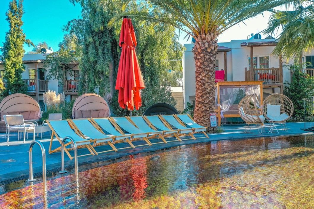 image4.jpg image4.jpg