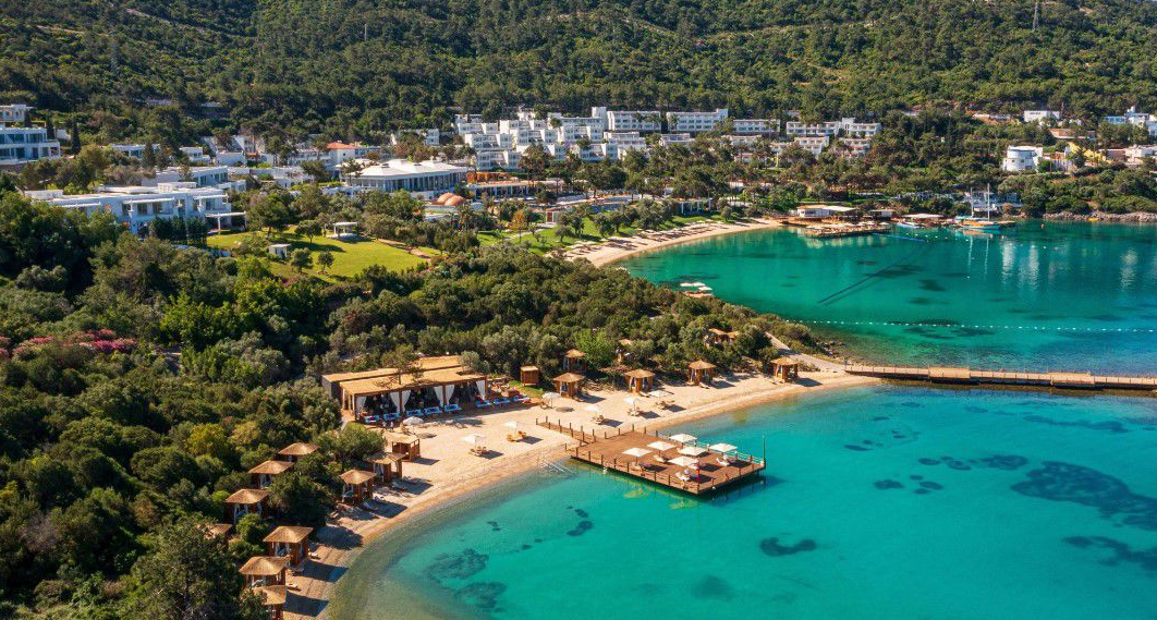 image5.png image5.png