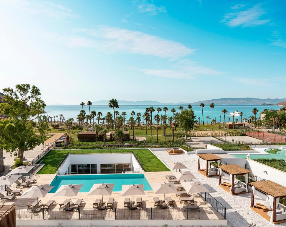 image3.png image3.png