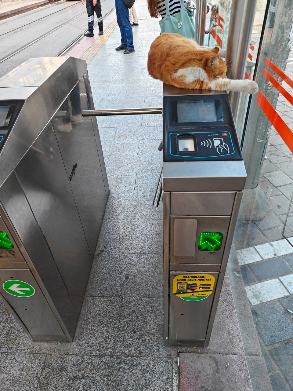 WhatsApp Image 2024-08-01 at 19.17.35 (3).jpeg