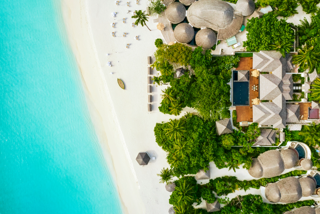 image3.png image3.png