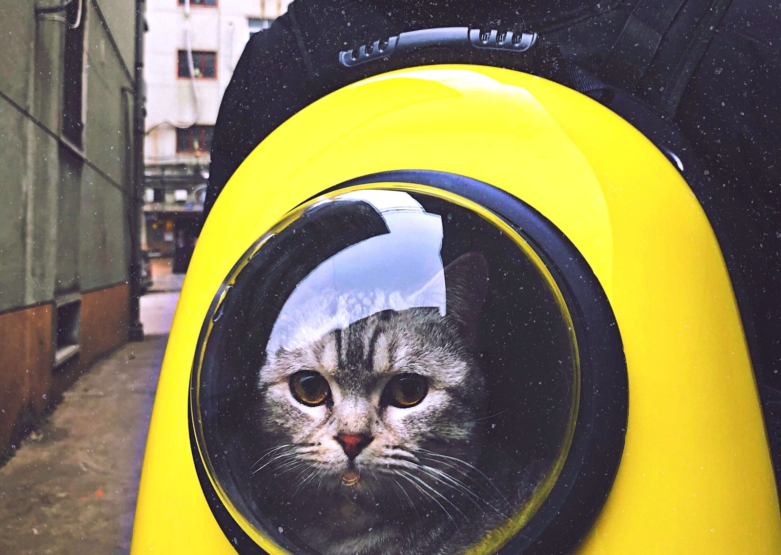 WhatsApp Image 2023-08-11 at 11.20.01.jpeg WhatsApp Image 2023-08-11 at 11.20.01.jpeg