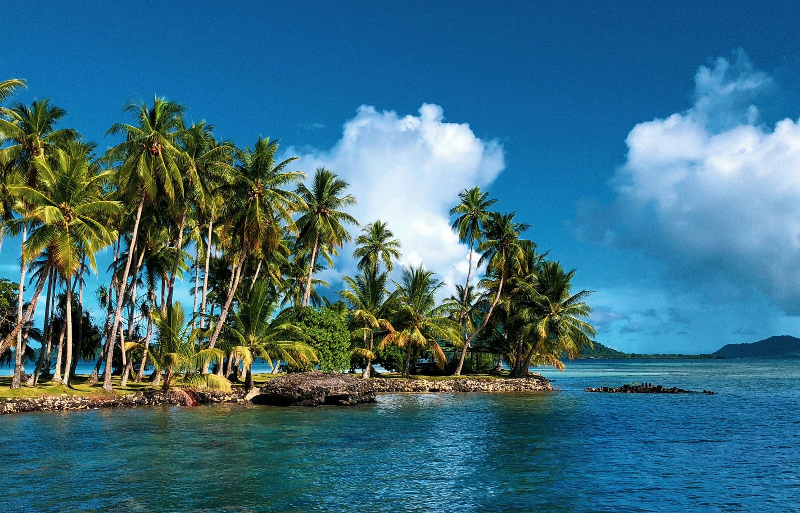 WhatsApp Image 2023-05-07 at 20.45.17 (2).jpeg WhatsApp Image 2023-05-07 at 20.45.17 (2).jpeg