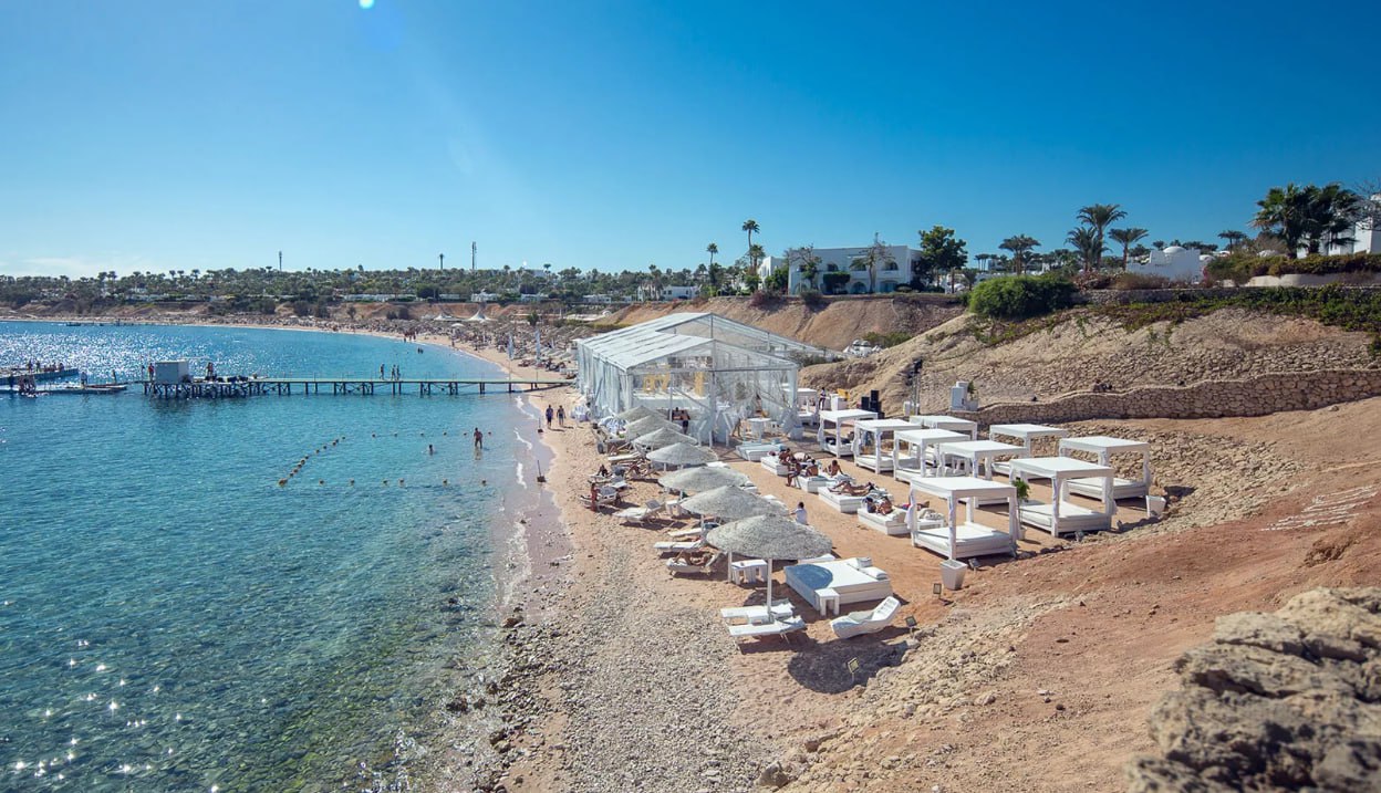 photo_2023-08-15 20.20.21.jpeg photo_2023-08-15 20.20.21.jpeg