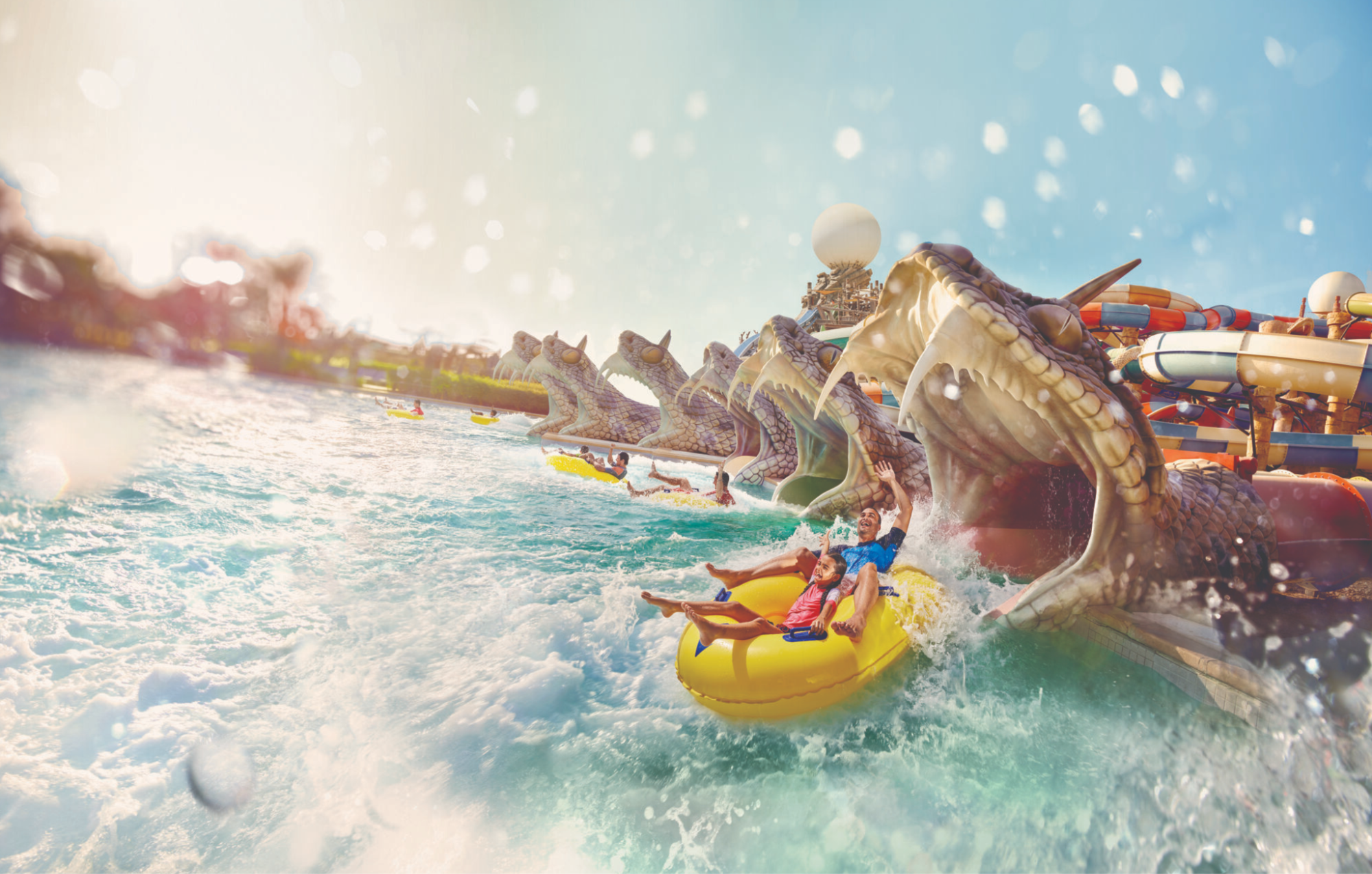 image3.png image3.png