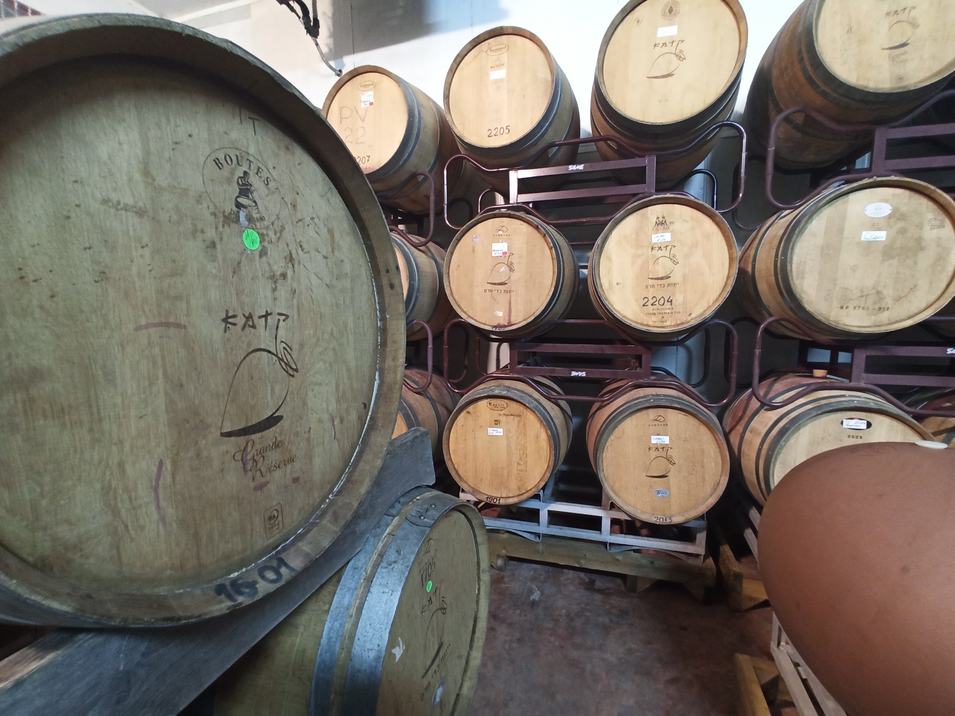 IMG_20250507_153651.jpg IMG_20250507_153651.jpg