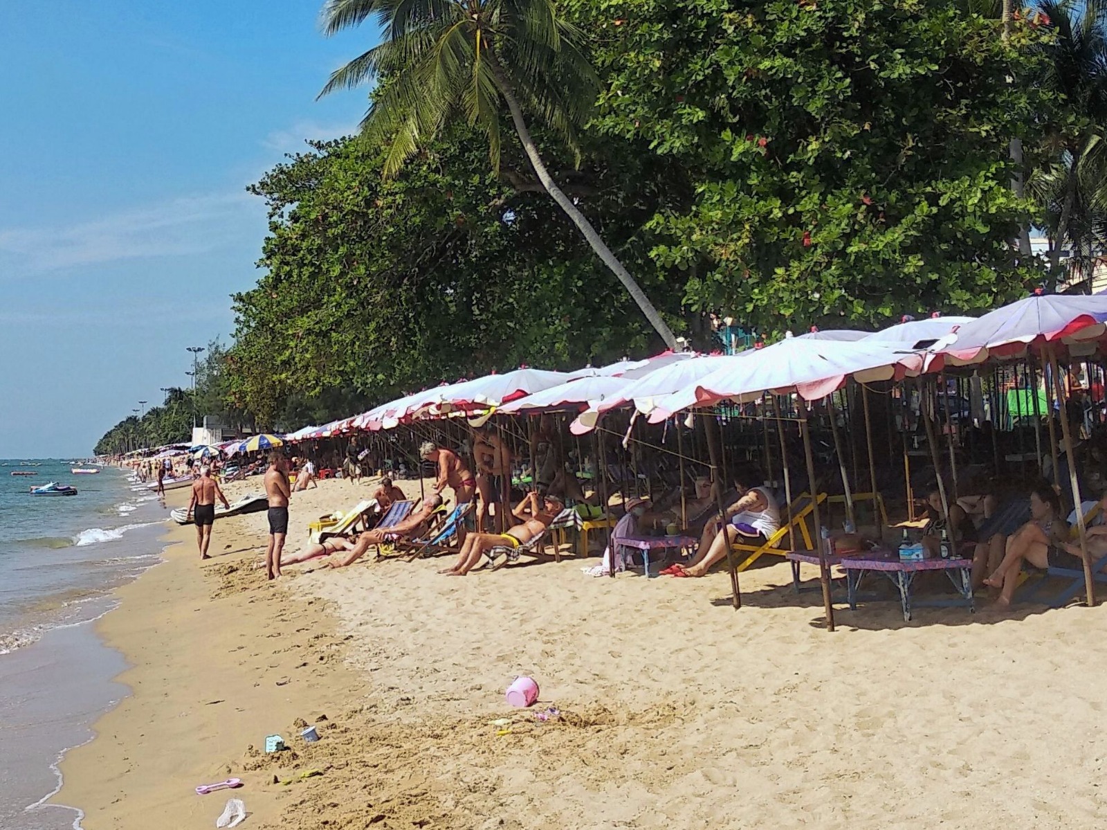 WhatsApp Image 2024-01-15 at 14.01.01.jpeg WhatsApp Image 2024-01-15 at 14.01.01.jpeg