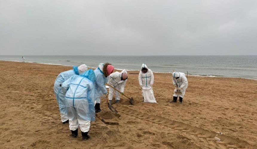 Изображение WhatsApp 2025-04-14 в 11.51.08_1c9cf78c.jpg Изображение WhatsApp 2025-04-14 в 11.51.08_1c9cf78c.jpg