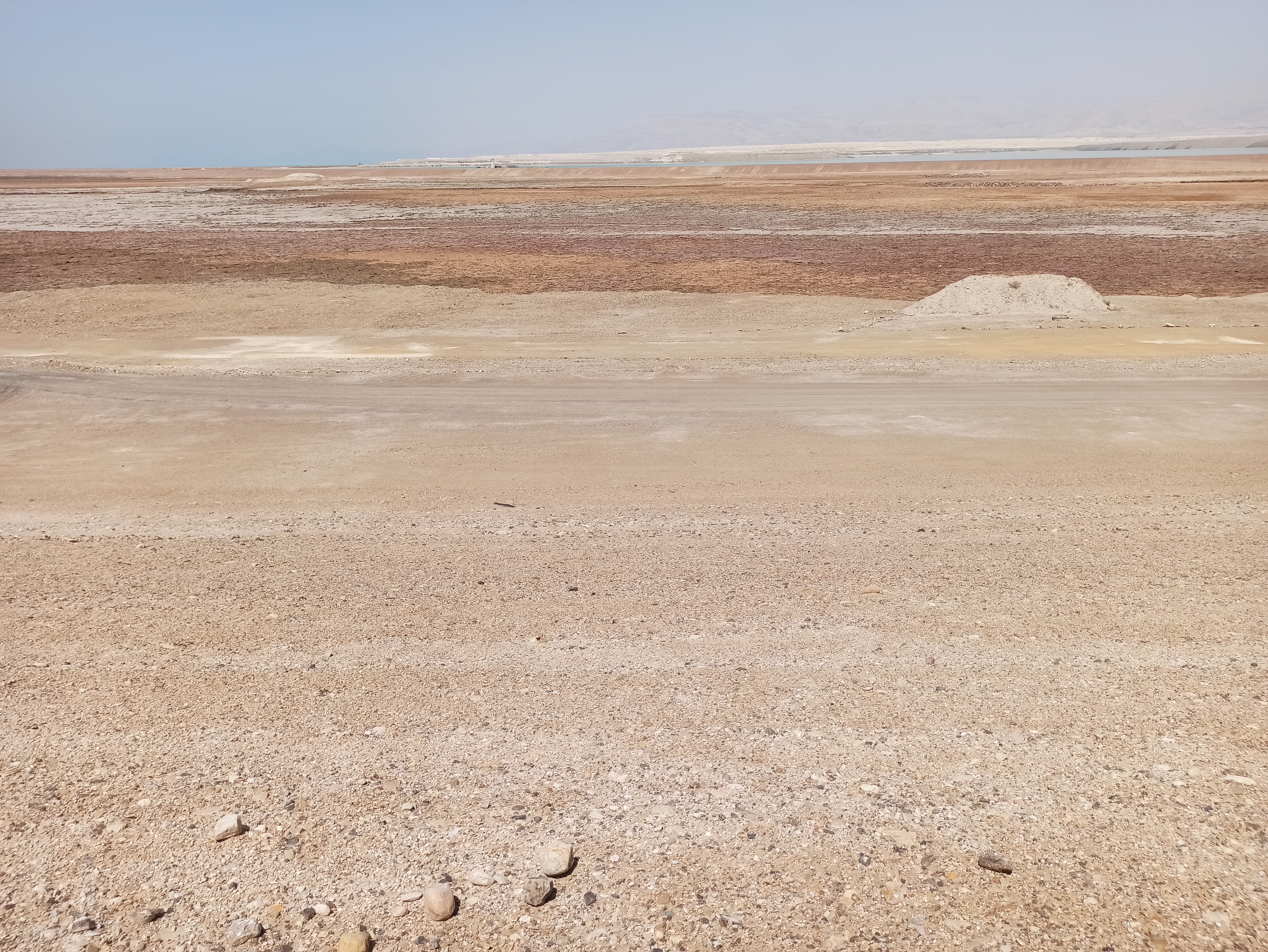 IMG_20250509_141830.jpg IMG_20250509_141830.jpg