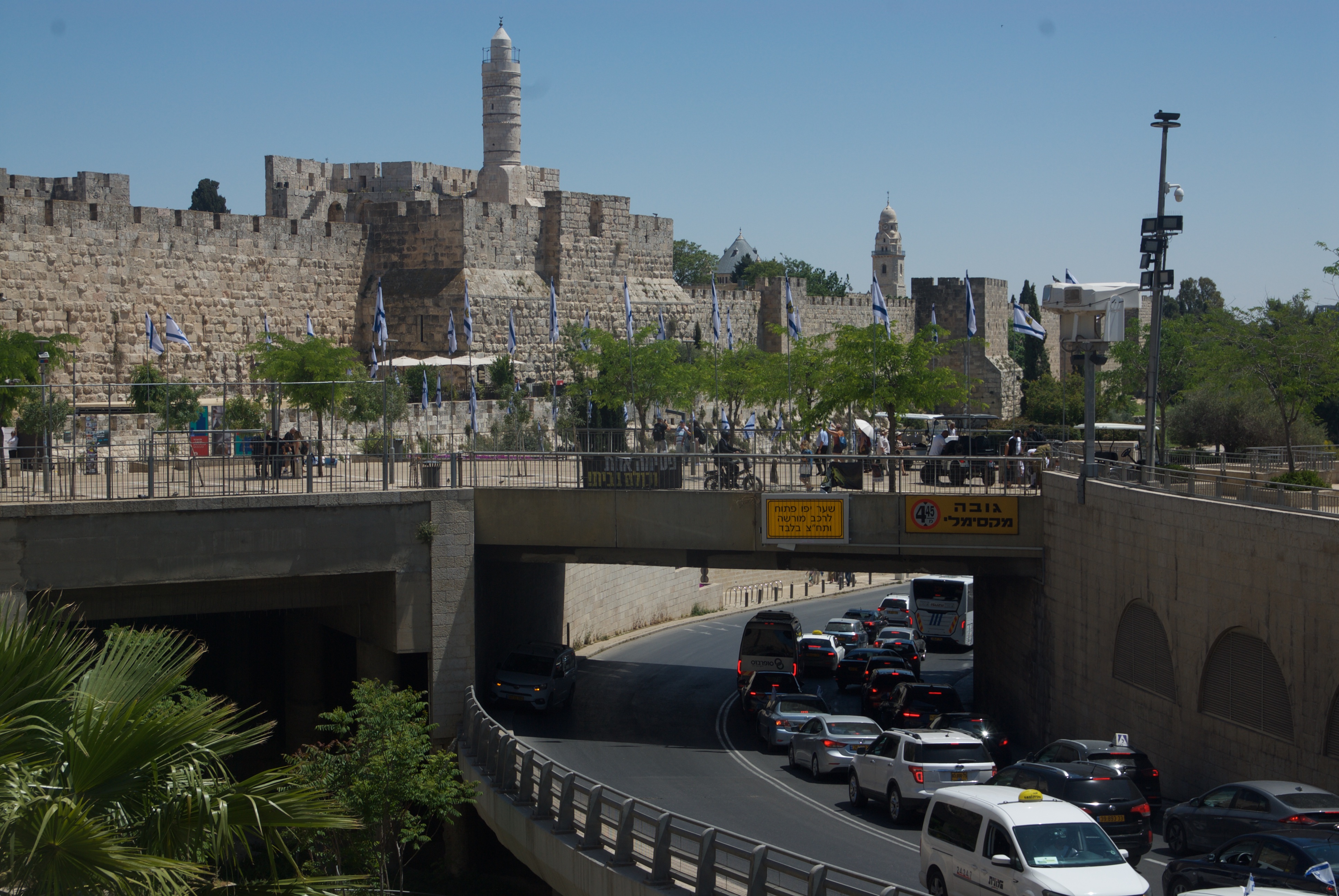 DSC_1217.jpg DSC_1217.jpg