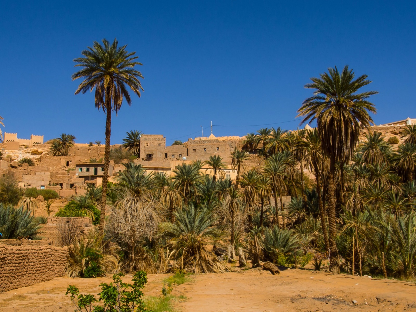 WhatsApp Image 2023-02-02 at 10.10.24.jpeg WhatsApp Image 2023-02-02 at 10.10.24.jpeg