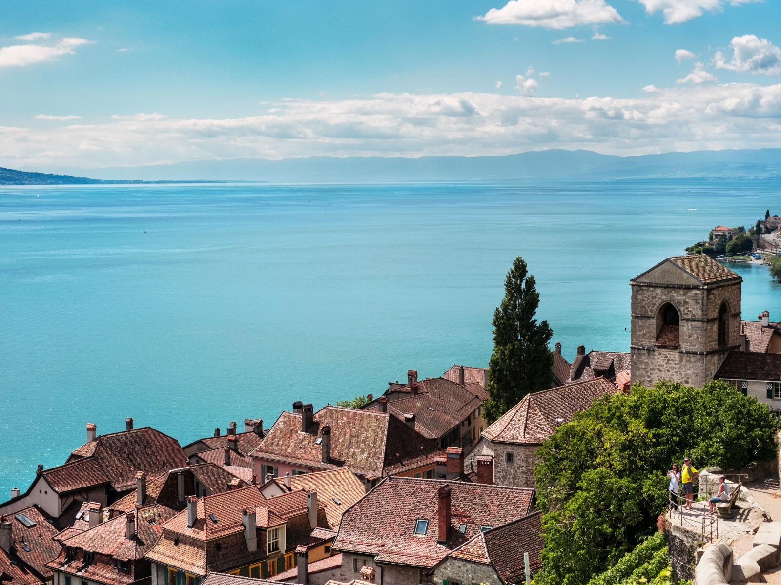 WhatsApp Image 2023-02-20 at 12.22.22.jpeg WhatsApp Image 2023-02-20 at 12.22.22.jpeg