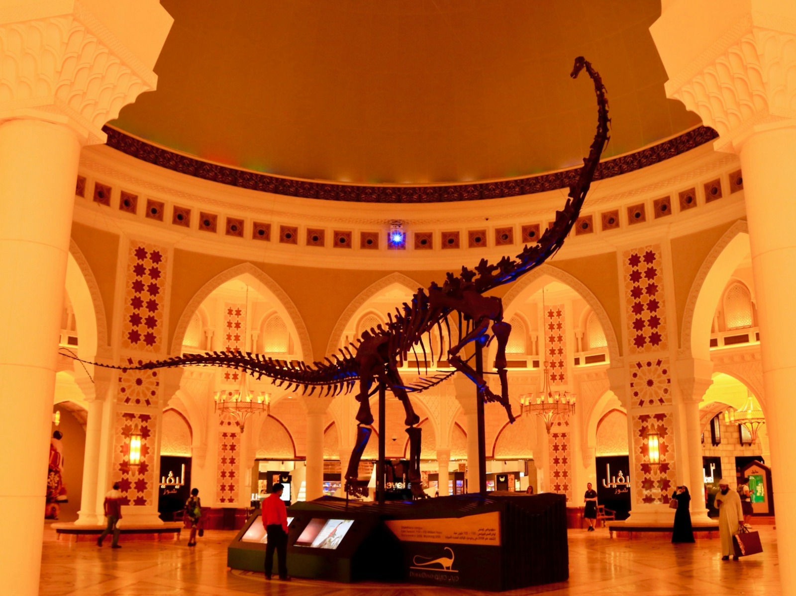 WhatsApp Image 2024-10-03 at 20.07.13.jpeg WhatsApp Image 2024-10-03 at 20.07.13.jpeg