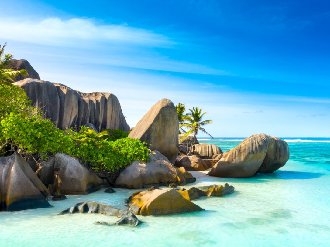 image2.png image2.png