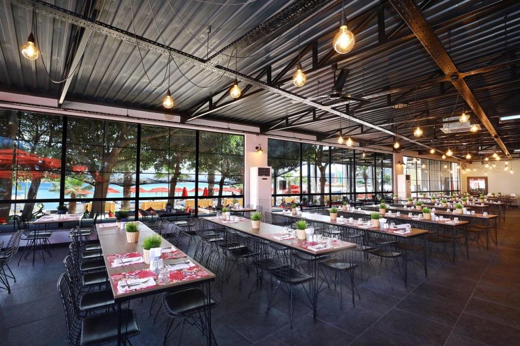 image11.jpg image11.jpg