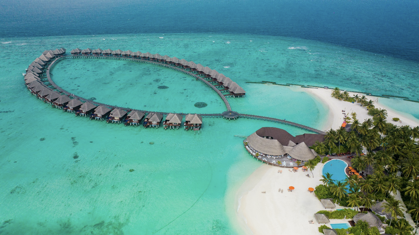 image3.png image3.png