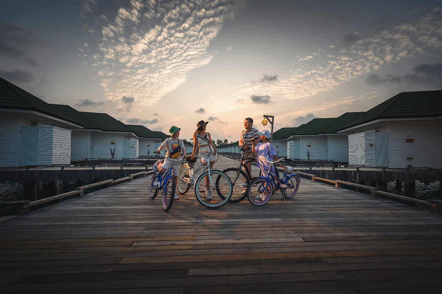 image2.png image2.png