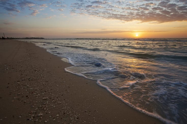 WhatsApp Image 2024-05-24 at 15.58.52.jpeg WhatsApp Image 2024-05-24 at 15.58.52.jpeg