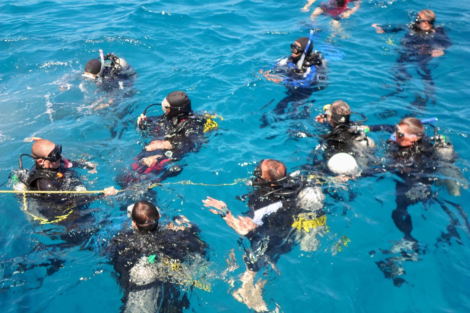 WhatsApp Image 2023-09-02 at 11.44.16.jpeg WhatsApp Image 2023-09-02 at 11.44.16.jpeg