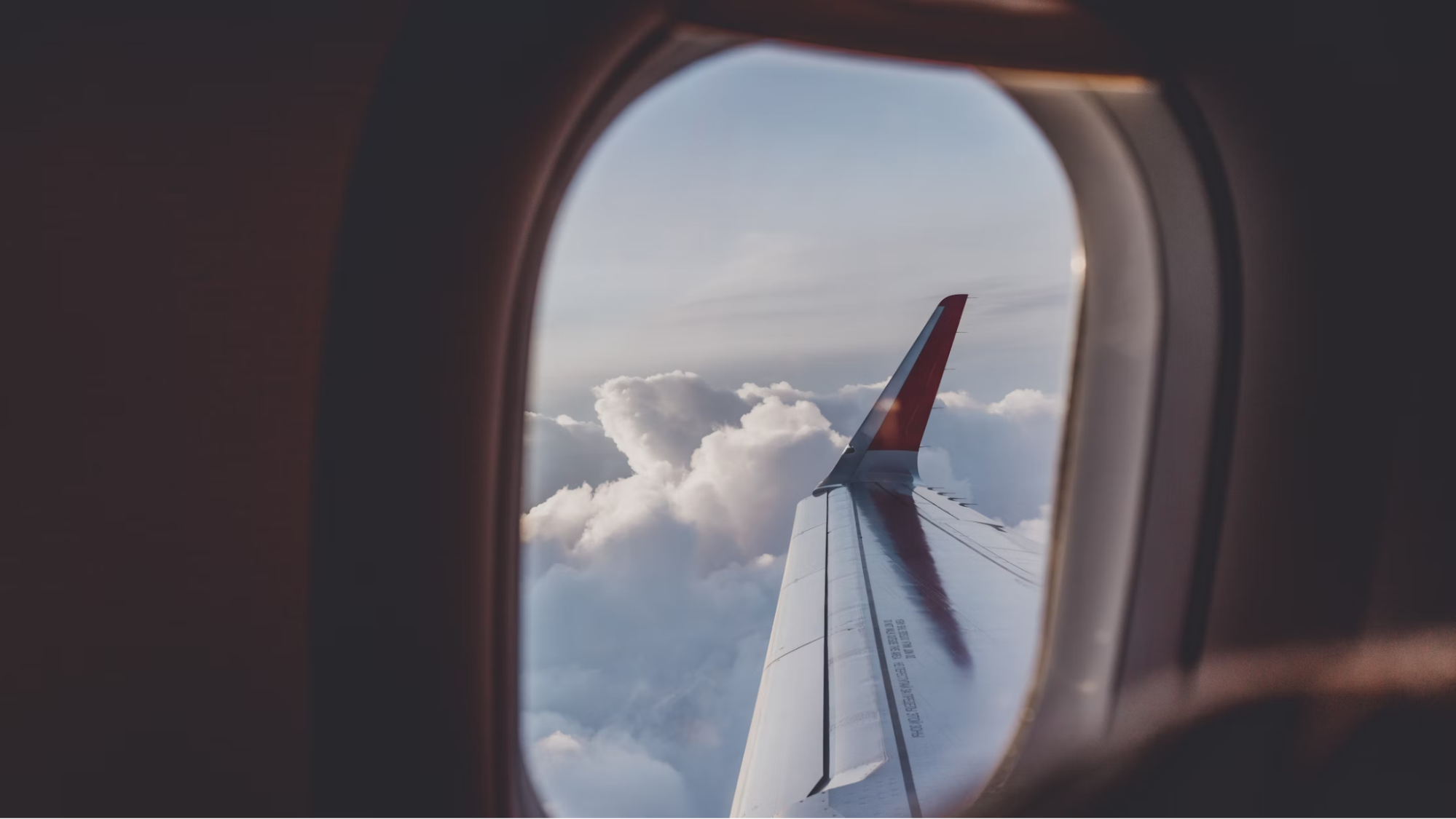 image1.png image1.png