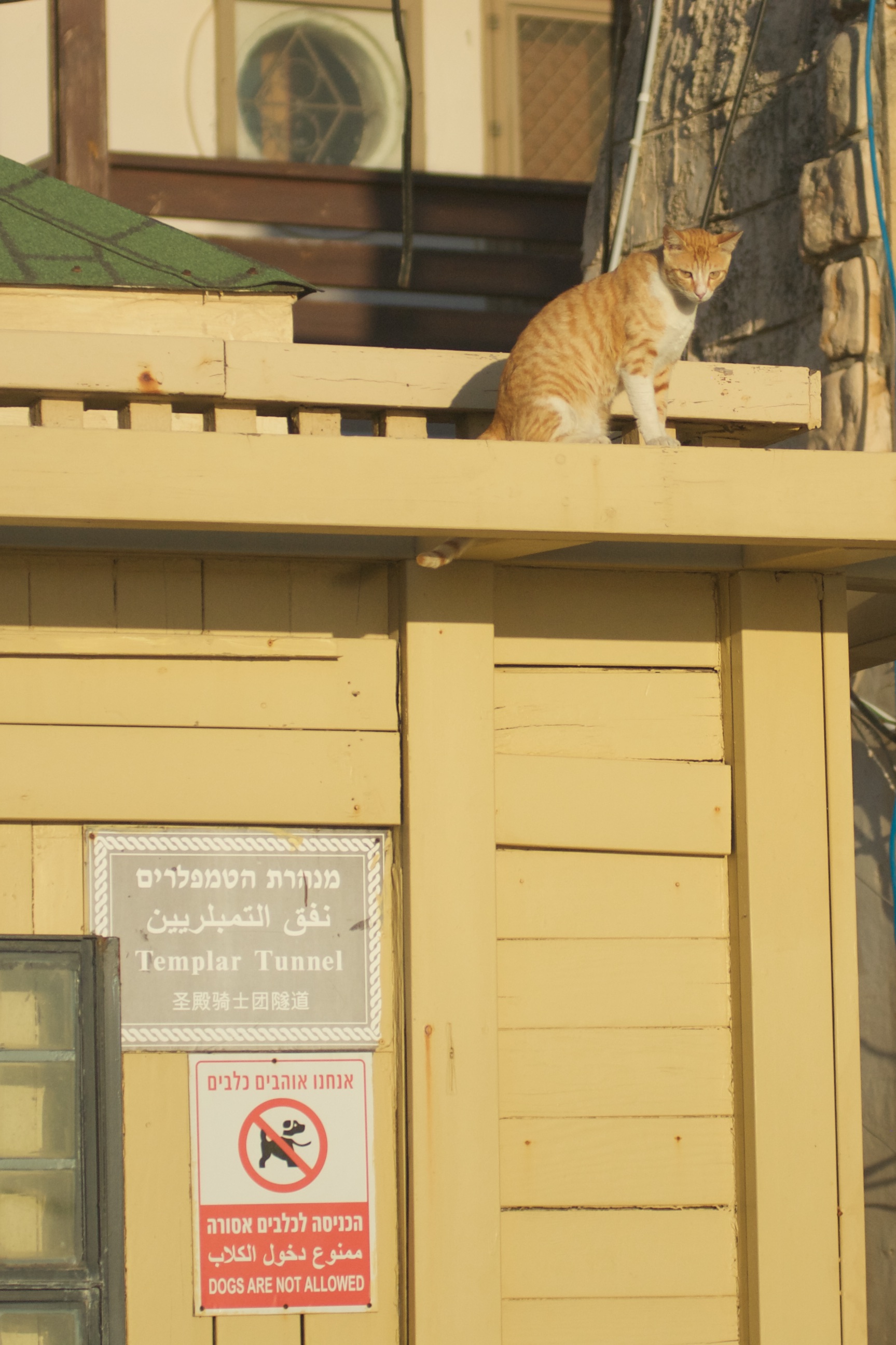 DSC_1211.jpg DSC_1211.jpg