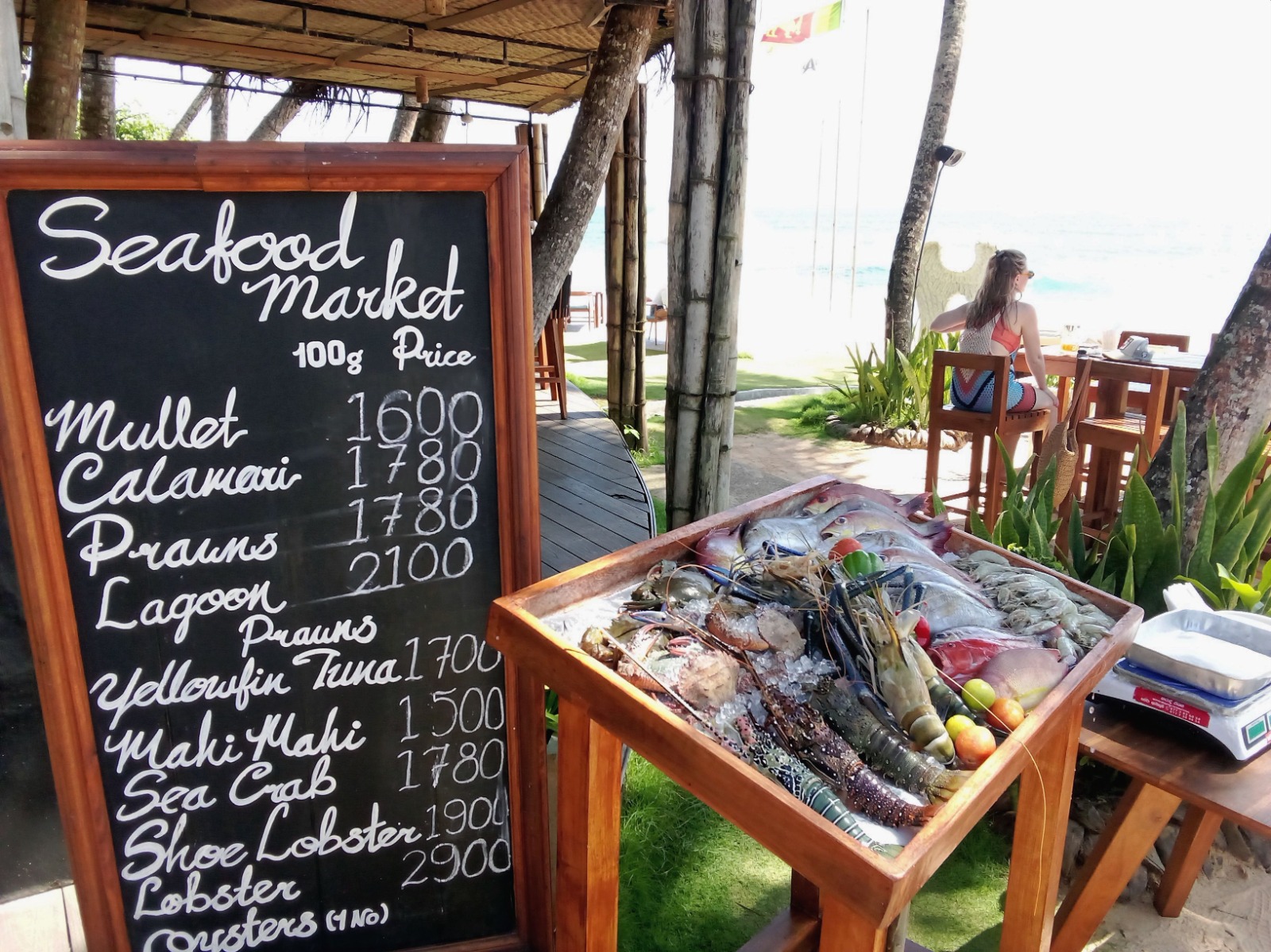 WhatsApp Image 2023-11-27 at 14.50.03.jpeg WhatsApp Image 2023-11-27 at 14.50.03.jpeg