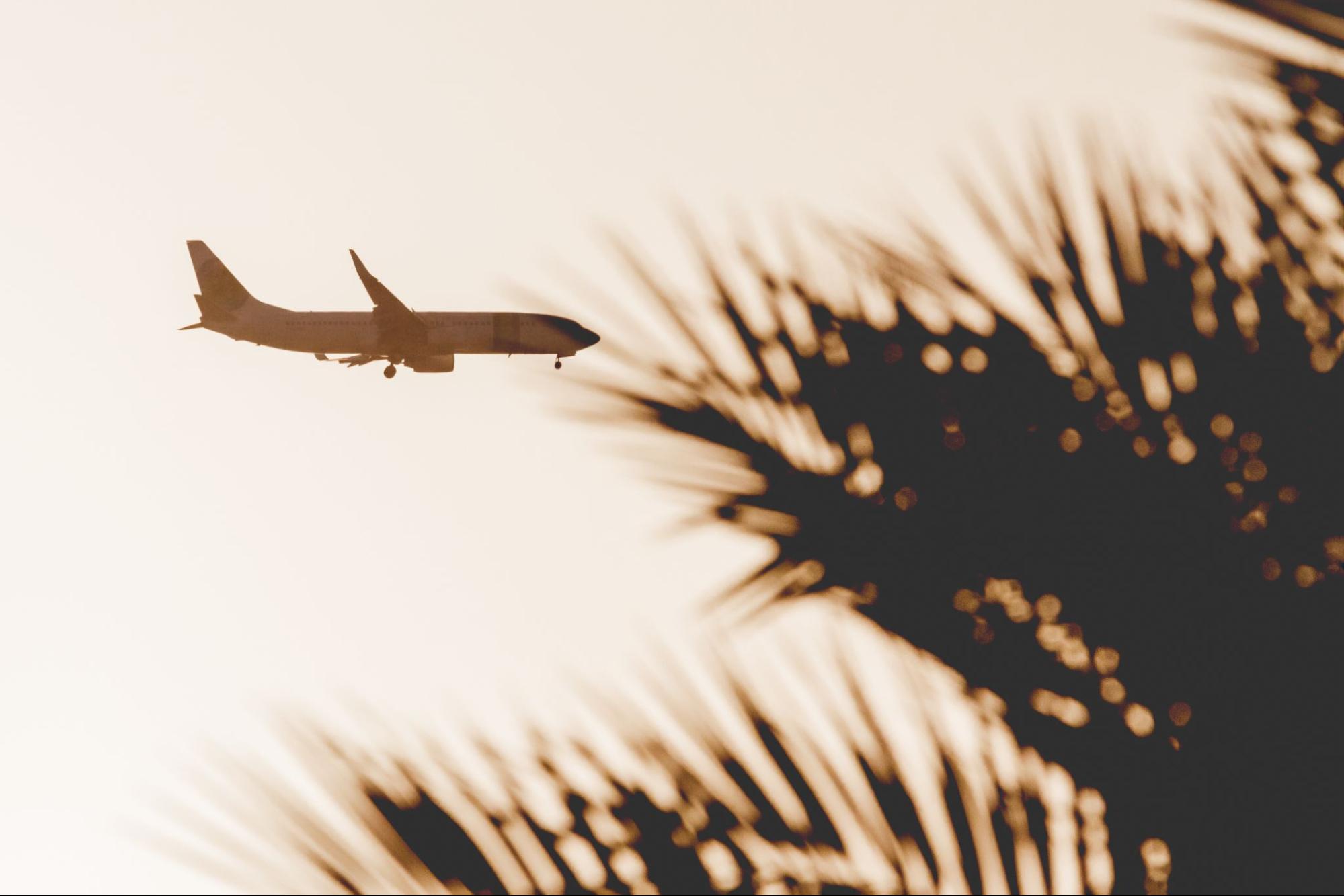 image2.jpg image2.jpg