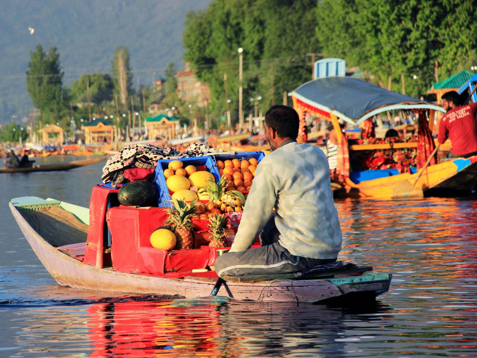 WhatsApp Image 2023-02-20 at 12.22.22 (1).jpeg WhatsApp Image 2023-02-20 at 12.22.22 (1).jpeg